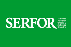 SERFOR Alerta Incendio Forestal